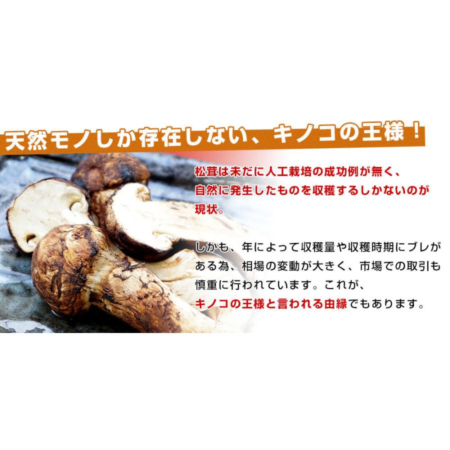 国産松茸(ご家庭用・訳あり品)身の割れ、欠け、規格外含む 約 国産松茸(ご家庭用・訳あり品)身の割れ、欠け、規格外含む 約