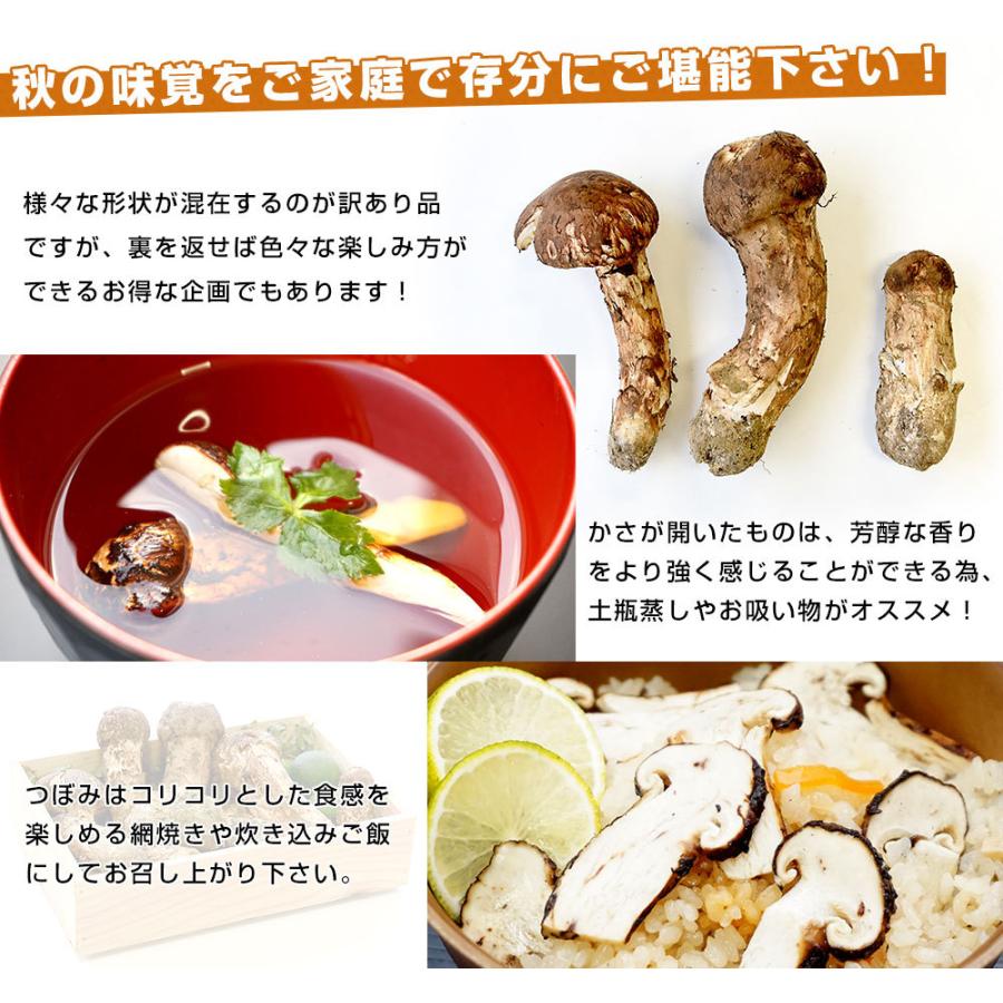 国産松茸(ご家庭用・訳あり品)身の割れ、欠け、規格外含む 約 国産松茸(ご家庭用・訳あり品)身の割れ、欠け、規格外含む 約