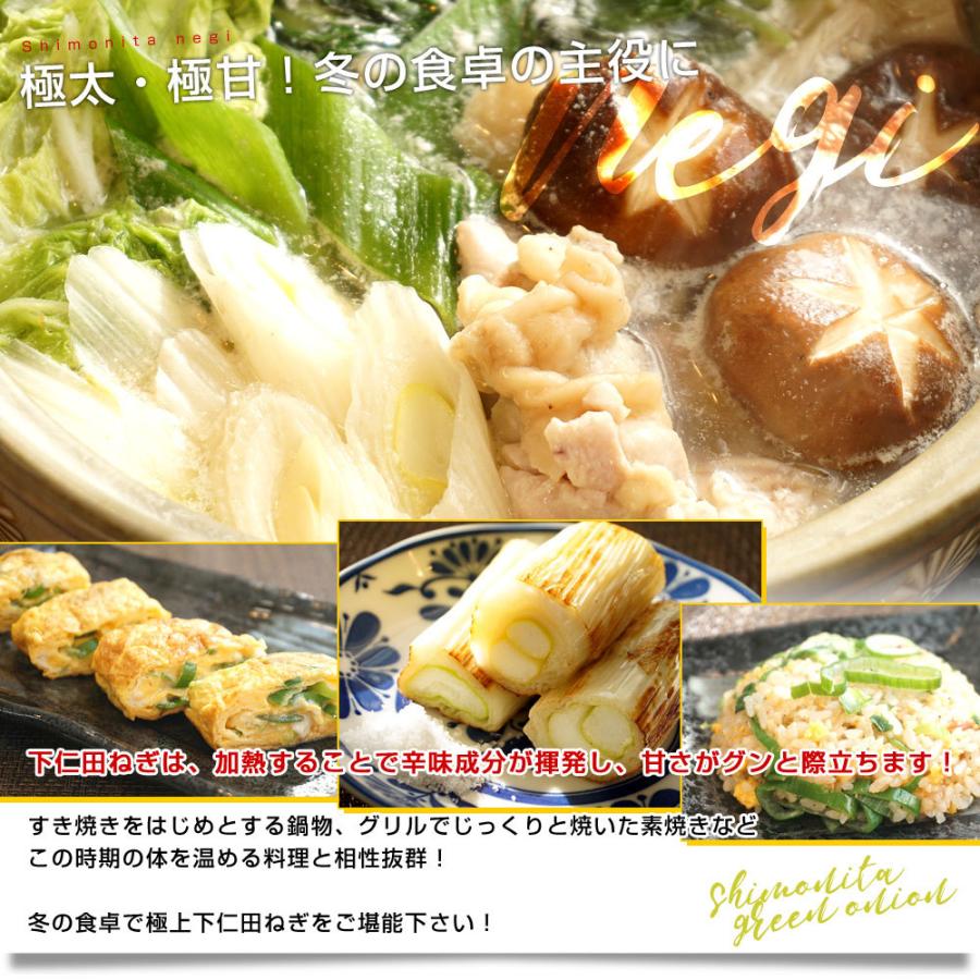 群馬県産 JA全農ぐんま 下仁田ねぎ 約4キロ(3Lから2L 15本から20本) 送料無料 市場発送 葱 ネギ 長ネギ しもにた クール便|sanchokudayori|05
