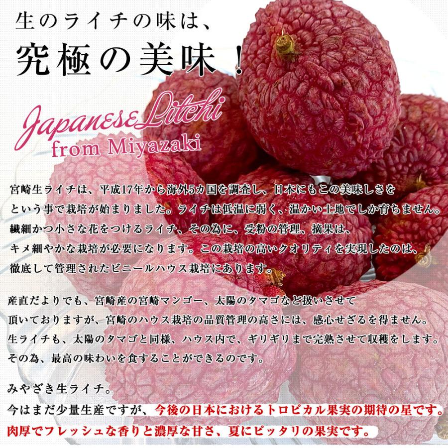 宮崎 JA宮崎経済連 みやざき生ライチ 420g化粧箱 2LからMサイズ（9玉
