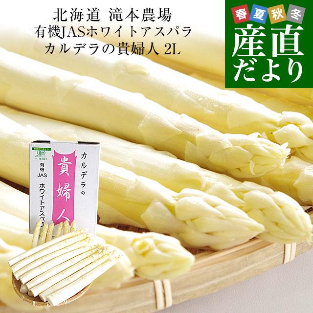 北海道より産地直送 赤井川村滝本農場の有機JASホワイトアスパラ「カルデラの貴婦人」 極太2Lサイズ 約500g入り 送料無料 アスパラガス ※クール便発送 爆買（Yahoo!・産直だより）