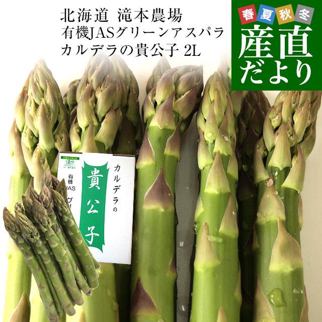 北海道より産地直送 赤井川村滝本農場の有機JASグリーンアスパラ「カルデラの貴公子」 極太2Lサイズ 約500g入り 送料無料 アスパラガス ※クール便発送 爆買（Yahoo!・産直だより）