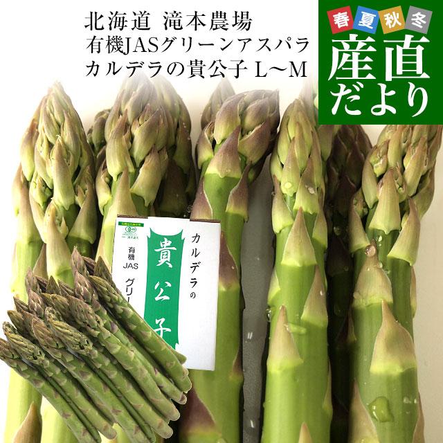 北海道より産地直送 赤井川村滝本農場の有機JASグリーンアスパラ「カルデラの貴公子」 LからMサイズ 約500g入り 送料無料 アスパラガス ※クール便発送 爆買（Yahoo!・産直だより）