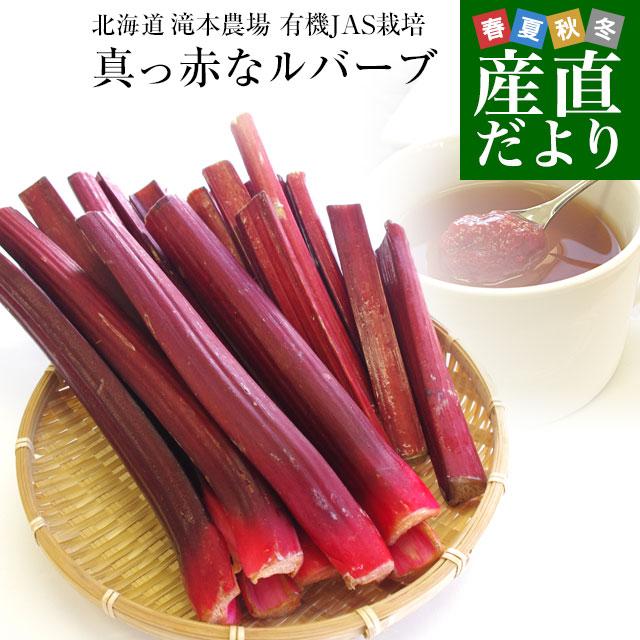 北海道より産地直送 有機jas認定の滝本農場 真っ赤なルバーブ 約800g るばーぶ 赤いルバーブ 送料無料 産直だより 通販 Yahoo ショッピング