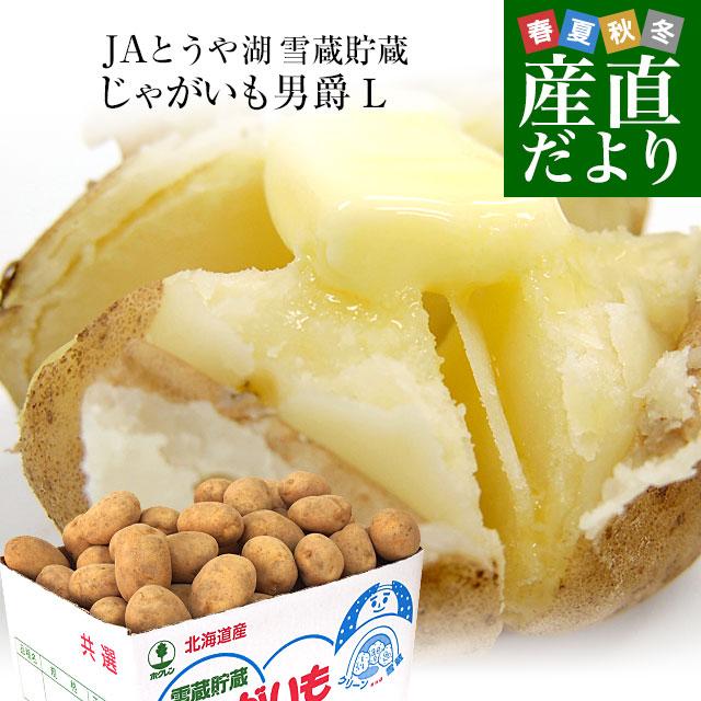 物品 北海道より産地直送 JAとうや湖 雪蔵貯蔵じゃがいも 男爵 Lサイズ 最大68%OFFクーポン 10キロ 送料無料 馬鈴薯 ジャガイモ 芋