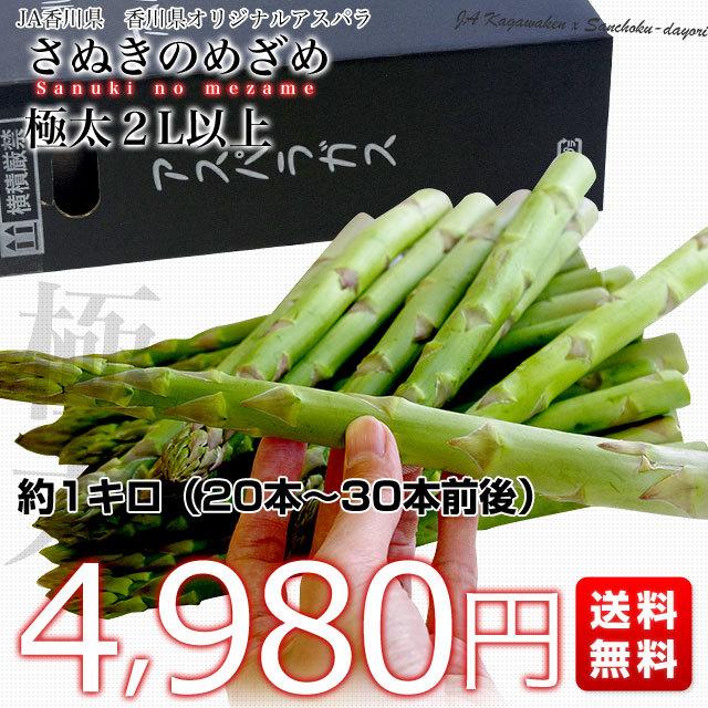 香川県より産地直送 Ja香川県アスパラ さぬきのめざめ 2l以上 約1キロ から30本前後 送料無料 丸亀市他 アスパラガス 産直だより 通販 Yahoo ショッピング