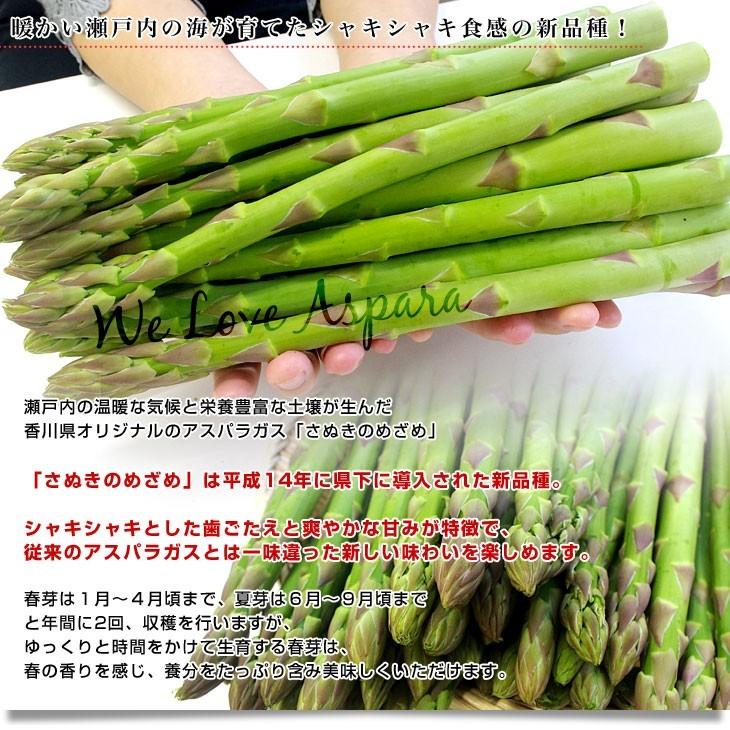 香川県より産地直送 JA香川県 初物アスパラ さぬきのめざめ (春芽・初物) 2Lサイズ以上 約700g (14から25本前後) 送料無料 丸亀市他 アスパラガス