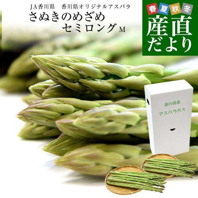 香川県より産地直送 JA香川県アスパラ さぬきのめざめ セミロング（約30センチ）Mサイズ 1キロ入り 送料無料