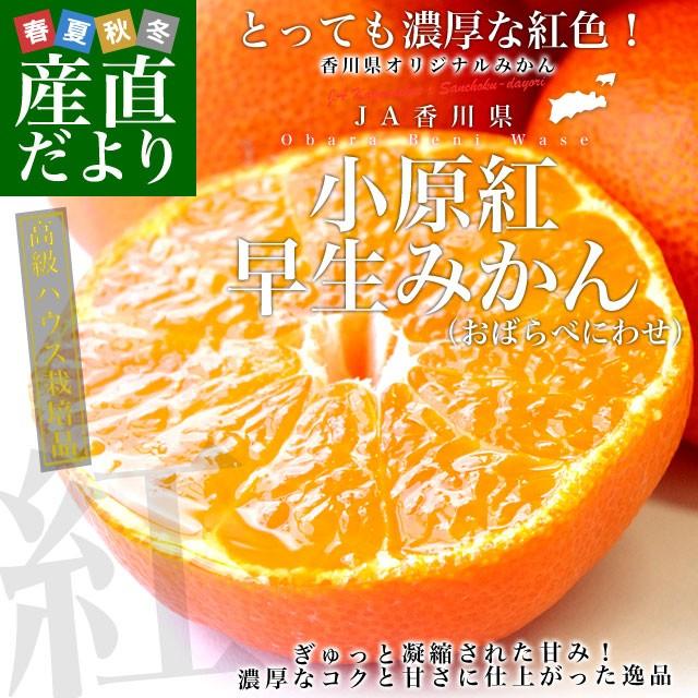 送料無料 香川県より産地直送 Ja香川県 高級ハウス栽培 小原紅早生みかん 1 2キロ 10から15玉入 蜜柑 ミカン 産直だより 通販 Yahoo ショッピング