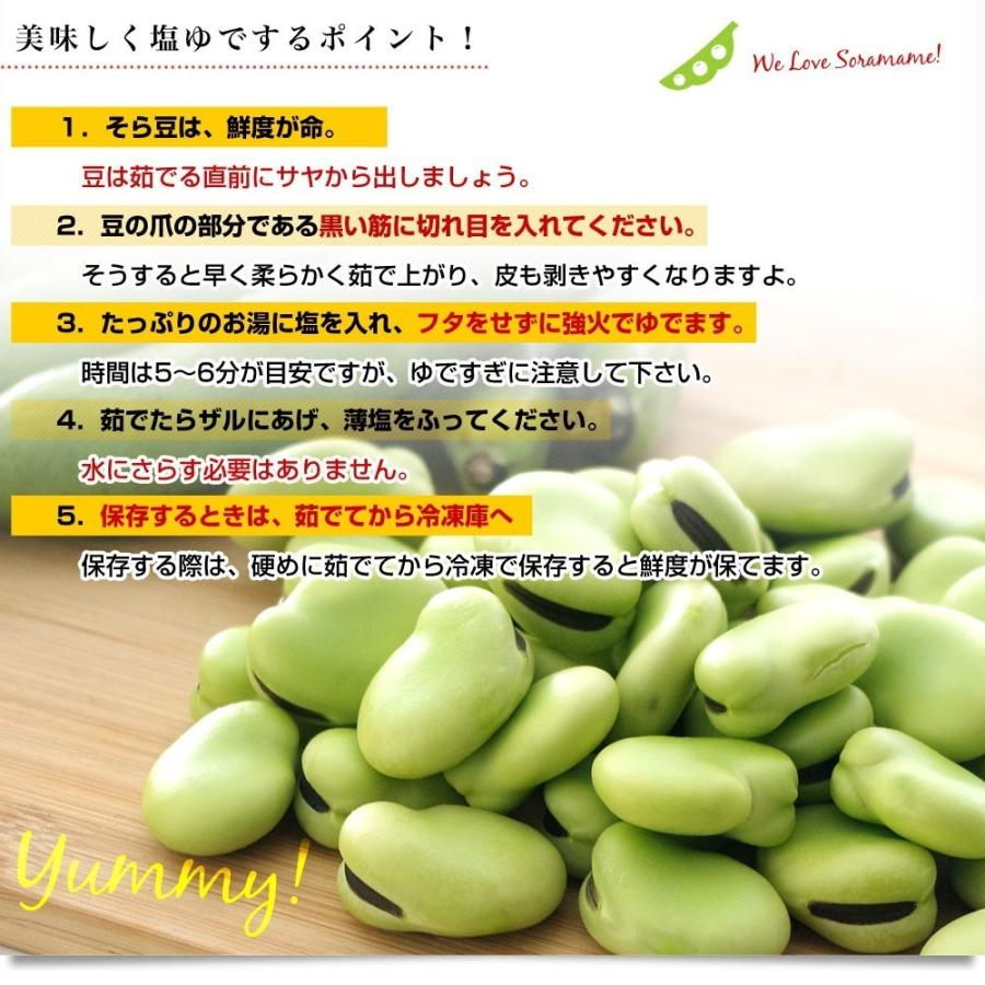 ソラ豆の黒いすじ 4028 そら豆の黒いすじ あらすじ