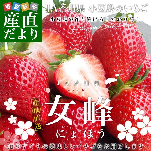 香川県より産地直送 女峰いちご DXタイプ 460g (230g×2P:6粒 香川県より産地直送 女峰いちご DXタイプ 460g (230g×2P:6粒