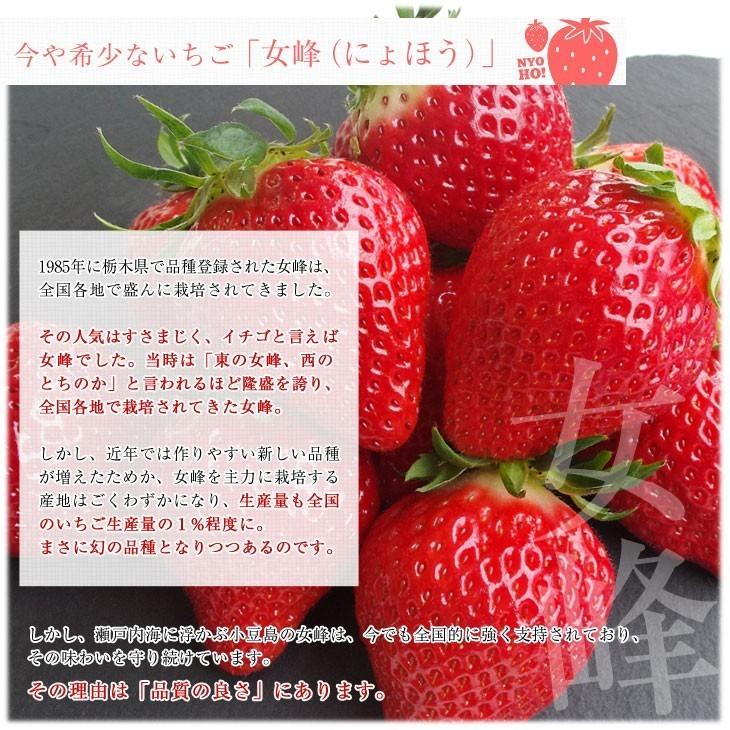 香川県より産地直送 女峰いちご DXタイプ 460g (230g×2P:6粒 香川県より産地直送 女峰いちご DXタイプ 460g (230g×2P:6粒