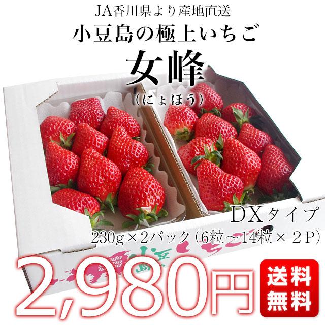 香川県より産地直送 女峰いちご DXタイプ 460g (230g×2P:6粒 香川県より産地直送 女峰いちご DXタイプ 460g (230g×2P:6粒