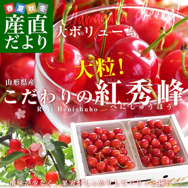 山形県より産地直送 さくらんぼ「紅秀峰」秀品　2Lサイズ　約700g（350g×2） 送料無料 クール便　サクランボ　桜桃｜sanchokudayori｜02