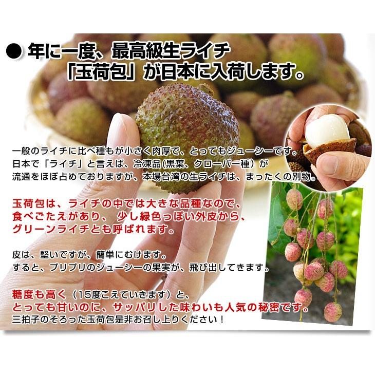 台湾から直輸入 高級 生ライチ 《玉荷包(ぎょっかほう)》 約800ｇ(25玉から35玉前後) 送料無料 トロピカルフルーツ ※クール便｜sanchokudayori｜04