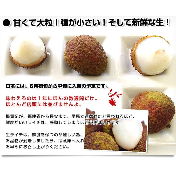 台湾から直輸入 高級 生ライチ 玉荷包 ぎょっかほう 約1キロ 30玉から40玉前後 送料無料 トロピカルフルーツ クール便 C1 産直だより 通販 Yahoo ショッピング