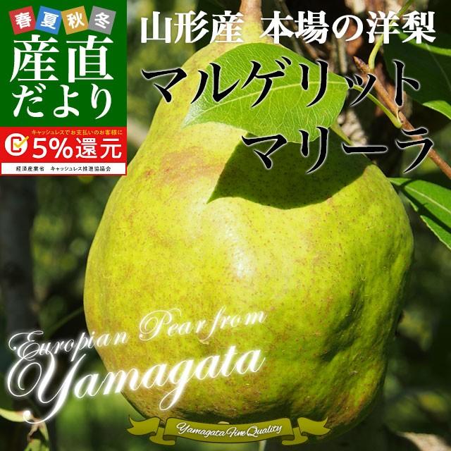 送料無料 山形県より産地直送 洋梨 マルゲリットマリーラ 5キロ 8玉から16玉 洋なし 洋ナシ 1900721922 産直だより 通販 Yahoo ショッピング