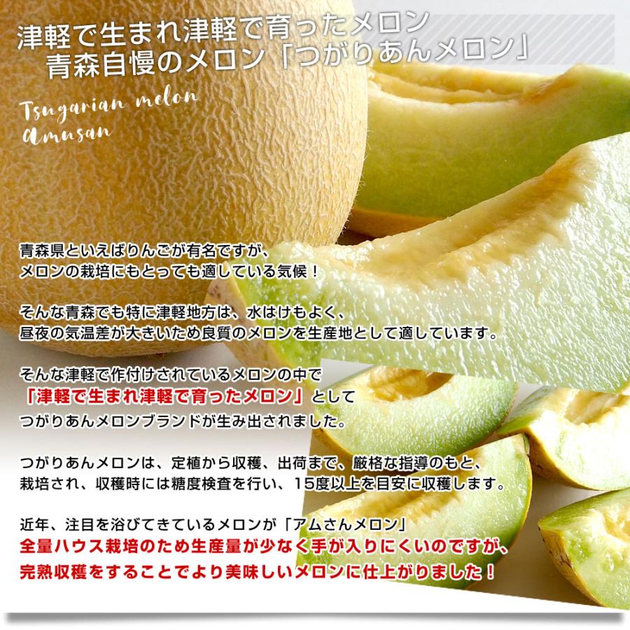 青森県より産地直送 完熟収穫 つがりあんメロン アムさんメロン 2玉入り化粧箱 約1 3キロ 2玉 送料無料 メロン 産直だより 通販 Yahoo ショッピング