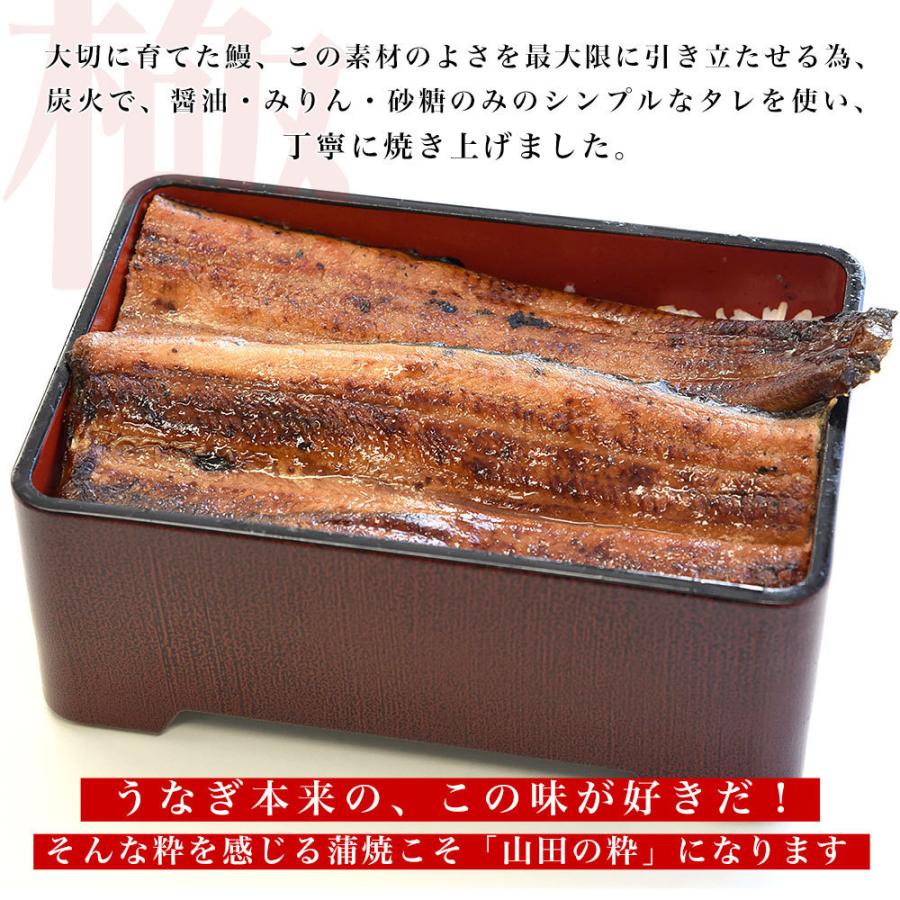 鹿児島県産 山田水産の極上国産うなぎ蒲焼「山田の粋（やまだのいき）」長焼（120g×4尾）送料無料 鰻蒲焼 ウナギ お中元 御中元 夏ギフト |  | 14