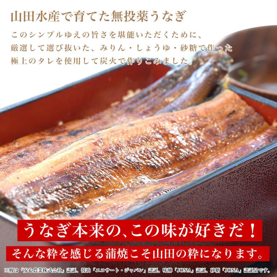 鹿児島県産 山田水産の極上国産うなぎ蒲焼「山田の粋（やまだのいき）」長焼（120g×4尾）送料無料 鰻蒲焼 ウナギ お中元 御中元 夏ギフト |  | 03
