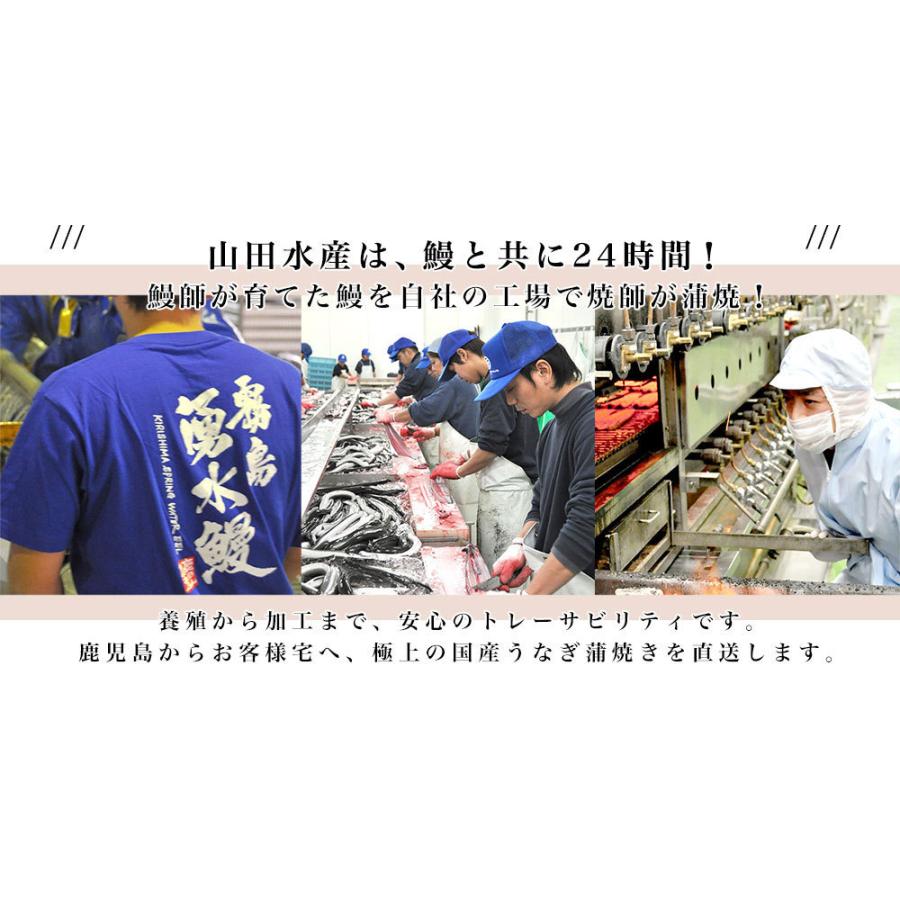 鹿児島県産 山田水産の極上国産うなぎ蒲焼「山田の粋（やまだのいき）」長焼（120g×4尾）送料無料 鰻蒲焼 ウナギ お中元 御中元 夏ギフト |  | 04
