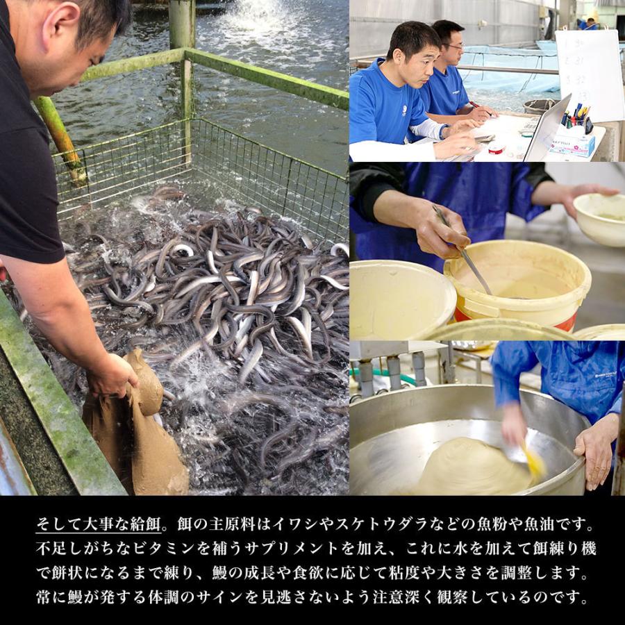 鹿児島県産 山田水産の極上国産うなぎ蒲焼「山田の粋（やまだのいき）」長焼（120g×4尾）送料無料 鰻蒲焼 ウナギ お中元 御中元 夏ギフト |  | 07
