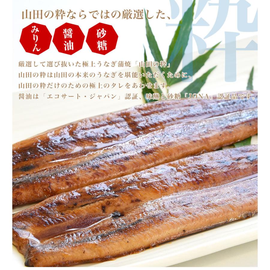 鹿児島県産 山田水産の極上国産うなぎ蒲焼「山田の粋（やまだのいき）」長焼（120g×4尾）送料無料 鰻蒲焼 ウナギ お中元 御中元 夏ギフト |  | 13