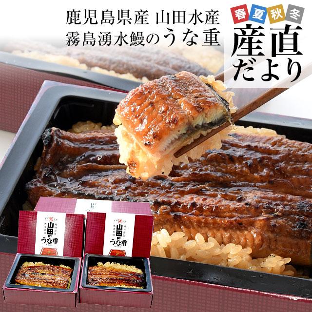 鹿児島県志布志 山田水産 霧島湧水鰻のうな重 佐賀米夢しずく使用 2人前 送料無料 鰻 うなぎ ウナギ 鰻師 加藤尚武さん 産直だより 通販 Yahoo ショッピング