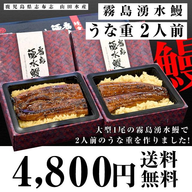 鹿児島県志布志 山田水産 霧島湧水鰻のうな重 (佐賀米夢しずく使用)2人前 送料無料 鰻 うなぎ ウナギ 鰻師 加藤尚武さん :3100342525:産直だより - 通販 - Yahoo!ショッピング 鹿児島県志布志 山田水産 霧島湧水鰻のうな重 (佐賀米夢しずく使用)2人前 送料無料 鰻 うなぎ ウナギ 鰻師 加藤尚武さん :3100342525:産直だより - 通販 - Yahoo!ショッピング