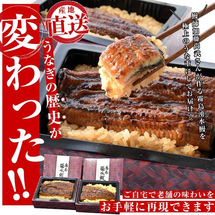 鹿児島県志布志 山田水産 霧島湧水鰻のうな重 佐賀米夢しずく使用 2人前 送料無料 鰻 うなぎ ウナギ 鰻師 加藤尚武さん 産直だより 通販 Yahoo ショッピング