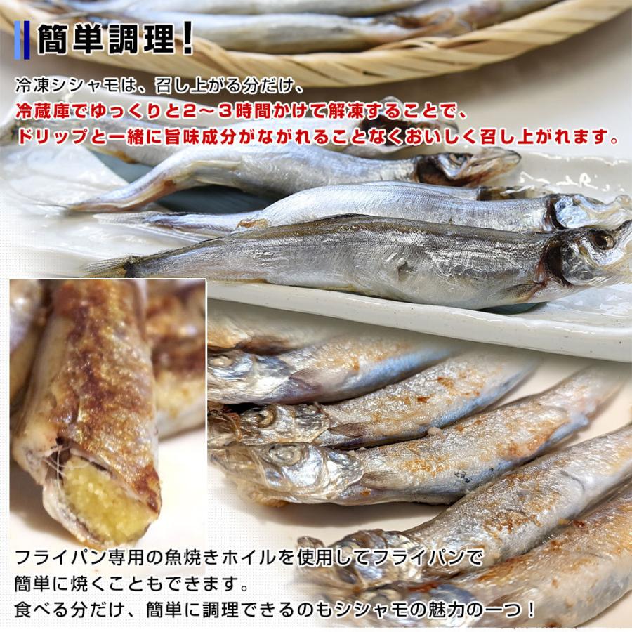 鹿児島県山田水産より発送 鹿児島県加工 特大 子持ちカラフトシシャモ(アイスランド産)1キロ(50尾前後)※クール冷凍便 送料無料 ししゃも シーフード|sanchokudayori|06