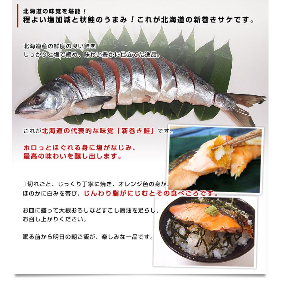 北海道より直送 新巻鮭 姿切り身 大型の鮭 まるごと1尾分 約2.5キロ