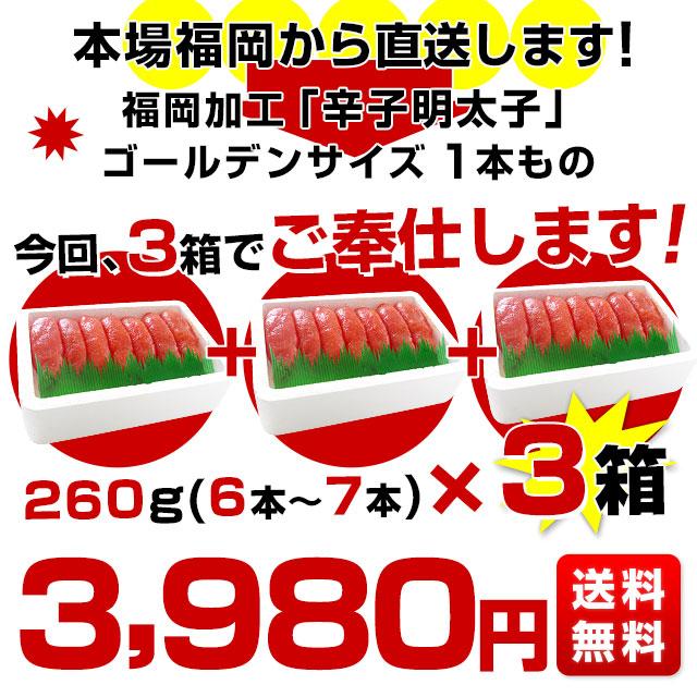 福岡加工 辛子明太子 ゴールデンサイズ 極太1本もの 約260g(6本から7本)×3箱 送料無料 めんたいこ｜sanchokudayori｜02