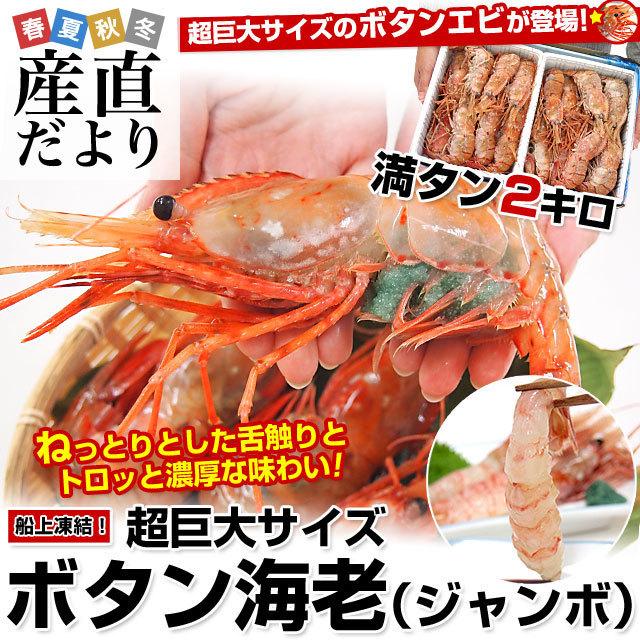 北海道から発送 船上凍結ボタン海老 ロシア産 超巨大サイズ 約2キロ 28尾から36尾前後 牡丹 えび 産直だより 通販 Yahoo ショッピング