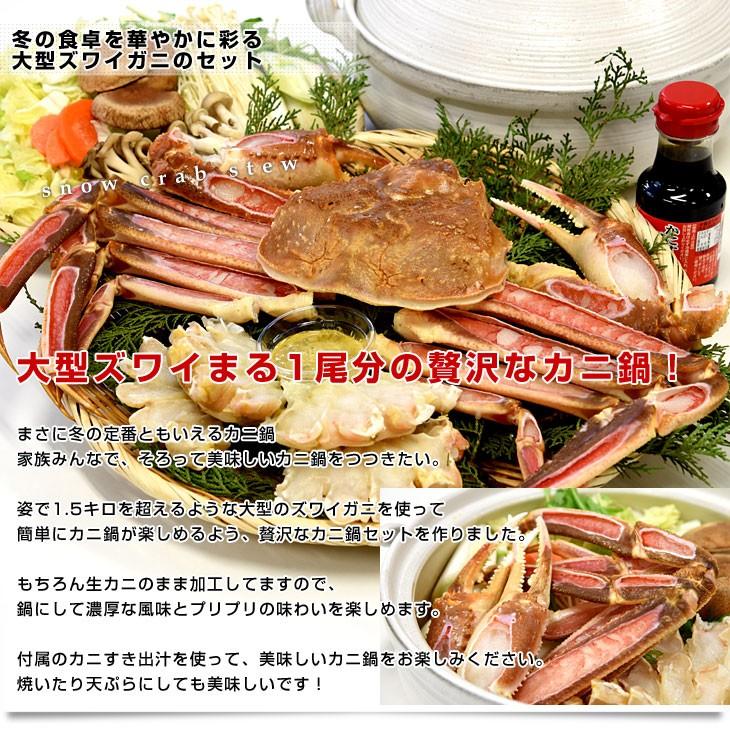 超大型の生ズワイガニ カニみそ付 まるごと1尾 解体 約1キロ 送料無料 生ズワイ蟹 生ずわい蟹 カニ鍋 産直だより 3153892516 産直だより 通販 Yahoo ショッピング