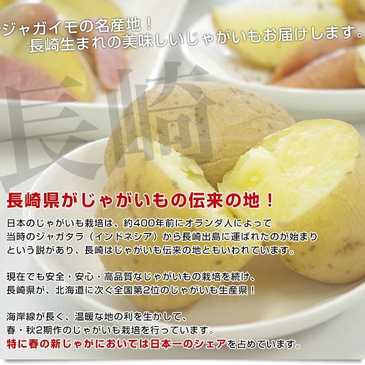 送料無料 長崎県産 Ja全農ながさき じゃがいも ニシユタカ Lサイズ 10キロ 市場発送 馬鈴薯 ばれいしょ 産直だより 通販 Yahoo ショッピング