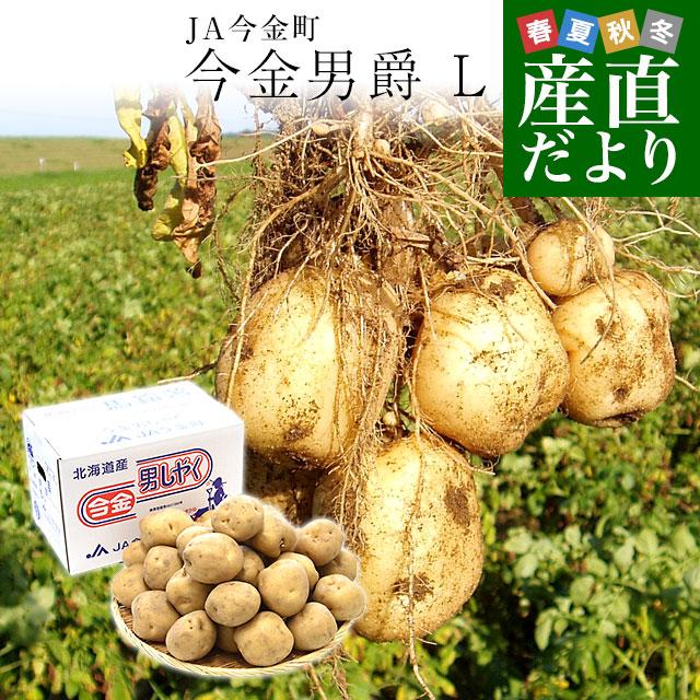 2025年12月】ながさき黄金のおすすめ人気ランキング - Yahoo!ショッピング