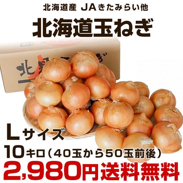 食品 けんじ様 専用 北海道産 玉ねぎ 80kg | www.defenderparts.co