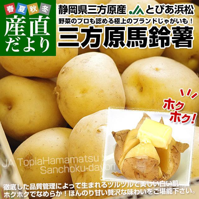 静岡県産 Jaとぴあ浜松 三方原馬鈴薯 秀品 Lサイズ 5キロ 40玉前後 送料無料 ジャガイモ ばれいしょ 馬鈴薯 静岡 みかたっぱら 大田市場発送品 産直だより 通販 Yahoo ショッピング