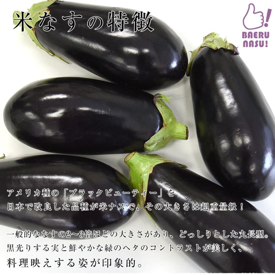 市場 米なす べいなす なす