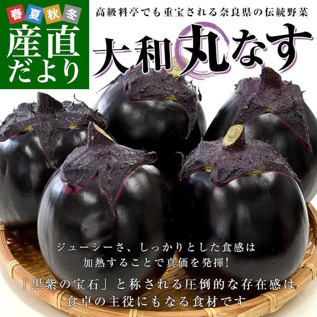 安心の定価販売 奈良県産 JAならけん 大和丸なす 約2キロ 秀品9から11玉 送料無料 まるなす 茄子 ナス 市場発送 安心の定価販売 奈良県産 JAならけん 大和丸なす 約2キロ 秀品9から11玉 送料無料 まるなす 茄子 ナス 市場発送