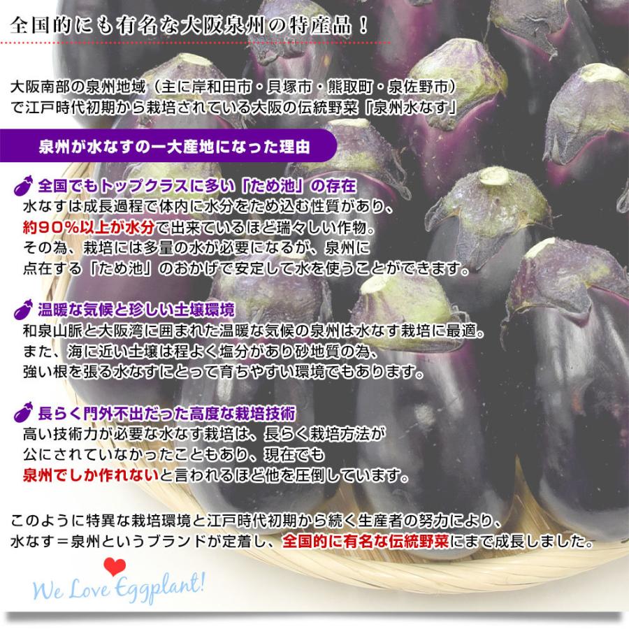 大阪府産 Ja大阪泉州 泉州水なす A級品玉 送料無料 なす 茄子 ナス 市場発送 産直だより 通販 Yahoo ショッピング