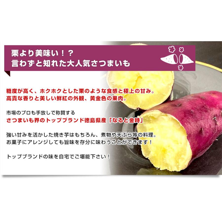 徳島県産 JA里浦 なると金時「里むすめ」 Lサイズ2.5キロ 10本 徳島県産 JA里浦 なると金時「里むすめ」 Lサイズ2.5キロ 10本