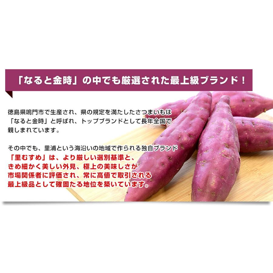 徳島県産 JA里浦 なると金時「里むすめ」 Lサイズ 約2.5キロ 9本前後 送料無料 きんとき さつまいも サツマイモ 薩摩芋 新芋 高系14号  市場発送 :4100922752:産直だより - 通販 - Yahoo!ショッピング