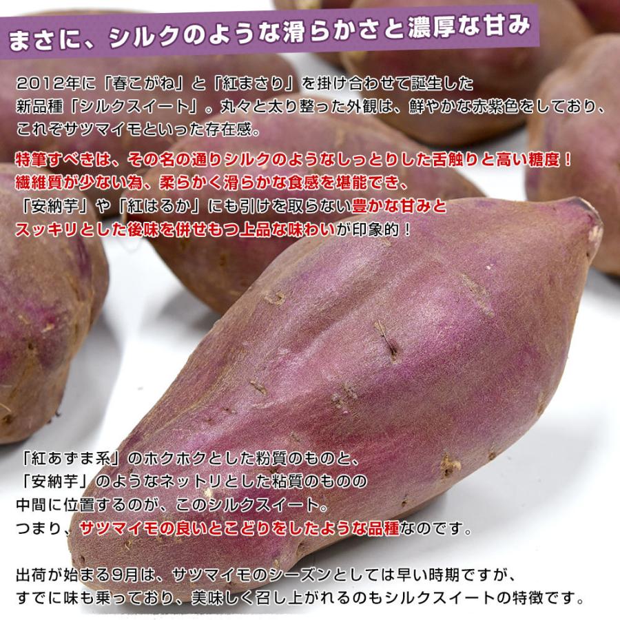 千葉県産 JAかとり シルクスイート 2LからL 約5キロ(形不揃い 千葉県産 JAかとり シルクスイート 2LからL 約5キロ(形不揃い