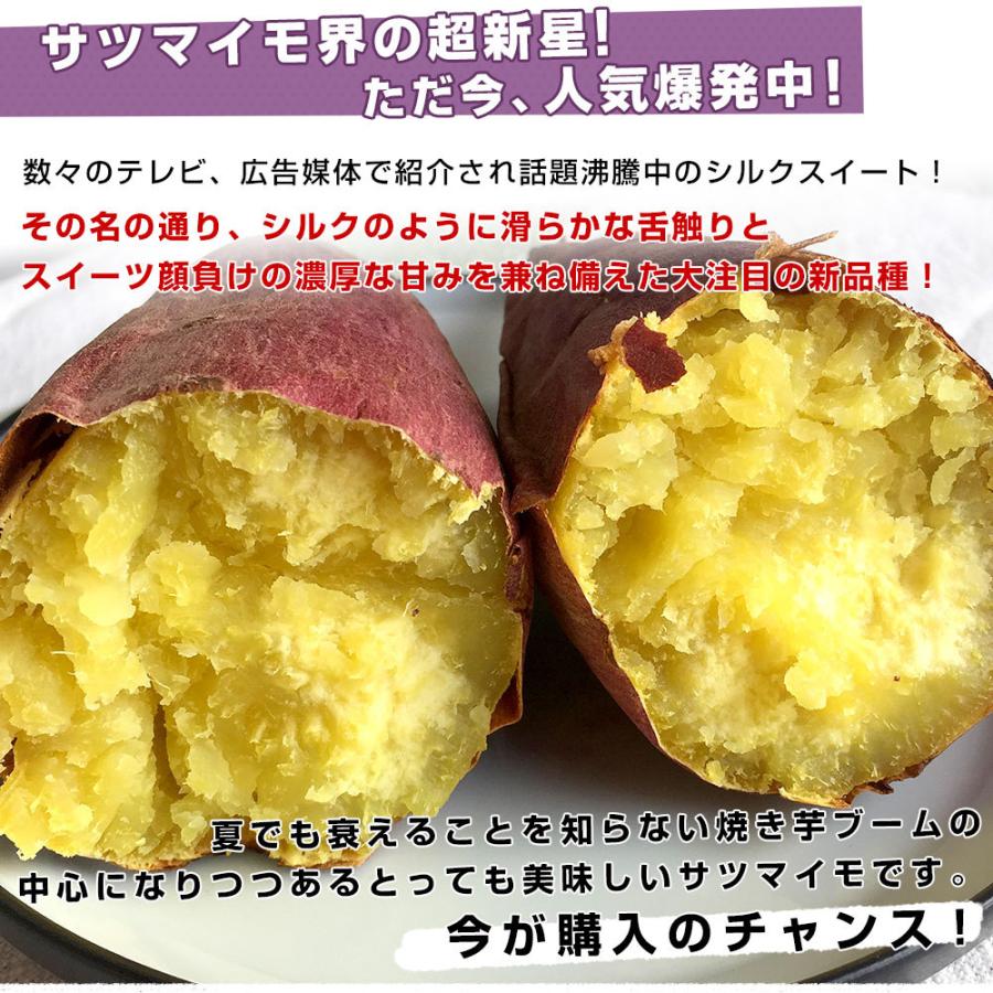 千葉県産 JAかとり シルクスイート Lサイズ 約5キロ 13本前後 送料無料 さつまいも サツマイモ 薩摩芋 新芋 市場発送 :4100922778:産直だより - 通販 - Yahoo!ショッピング 千葉県産 JAかとり シルクスイート Lサイズ 約5キロ 13本前後 送料無料 さつまいも サツマイモ 薩摩芋 新芋 市場発送 :4100922778:産直だより - 通販 - Yahoo!ショッピング