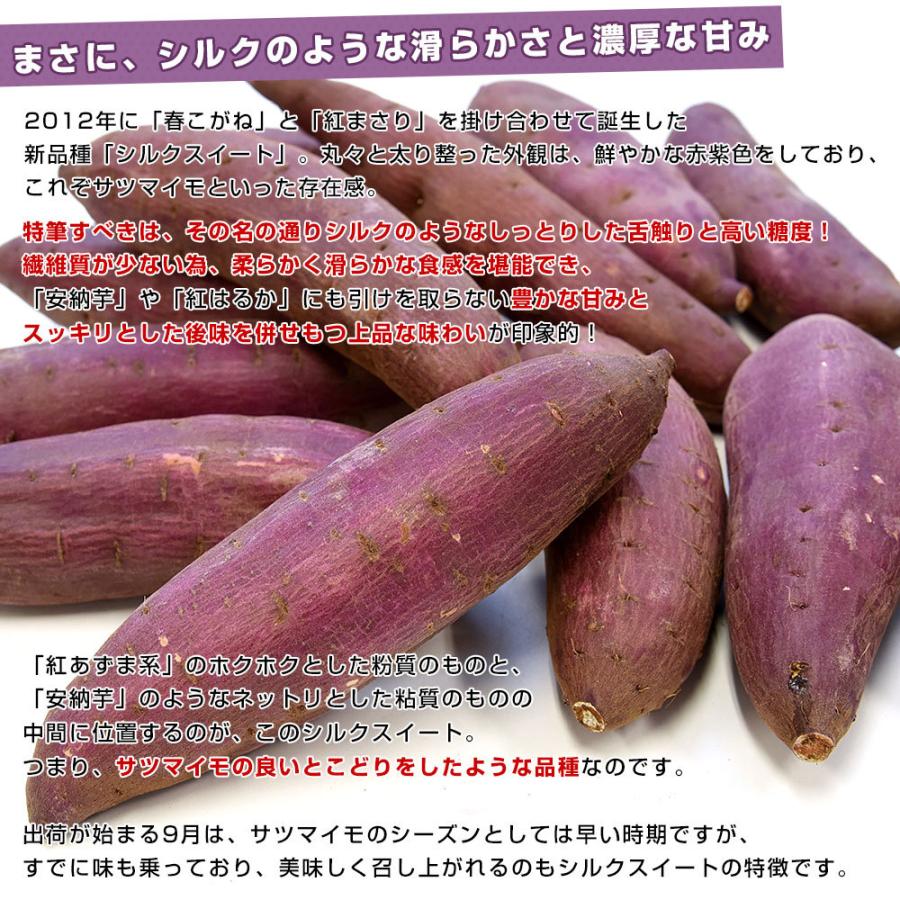 千葉県産 JAかとり シルクスイート Lサイズ 約5キロ 13本前後 送料無料 さつまいも サツマイモ 薩摩芋 新芋 市場発送 :4100922778:産直だより - 通販 - Yahoo!ショッピング 千葉県産 JAかとり シルクスイート Lサイズ 約5キロ 13本前後 送料無料 さつまいも サツマイモ 薩摩芋 新芋 市場発送 :4100922778:産直だより - 通販 - Yahoo!ショッピング