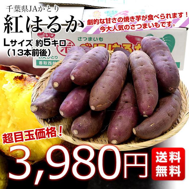 千葉県産 JAかとり 紅はるか Lサイズ 約5キロ 13本前後 送料無料 さつまいも サツマイモ 薩摩芋 新芋 市場発送｜sanchokudayori｜03