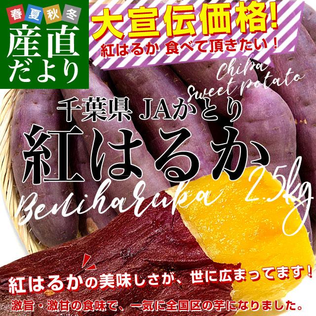 千葉県産 JAかとり 紅はるか Lサイズ 約2.5キロ 7本前後 送料無料 さつまいも サツマイモ 薩摩芋 新芋 市場発送｜sanchokudayori｜02