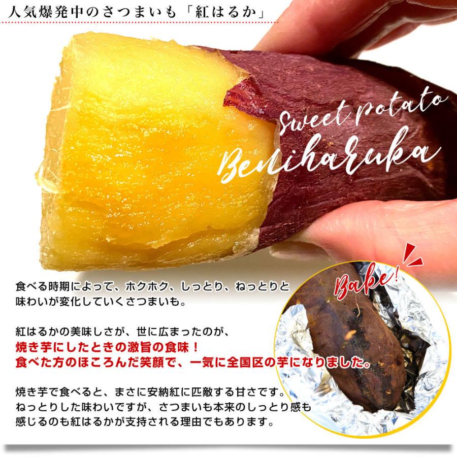 千葉県産 JAかとり 紅はるか Lサイズ 約2.5キロ 7本前後 送料 千葉県産 JAかとり 紅はるか Lサイズ 約2.5キロ 7本前後 送料